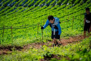 BIB: 
                            <button type="button" onclick="openModal(19162068)" class="btn btn-primary btn-sm float-right btn-popup" data-toggle="modal" data-target=".modal-high-quality">
                        <i class="fas fa-shopping-cart"></i> Add to Cart
                    </button>
                                            <button type="button" onclick="isThisMe(19162068, true)" class="btn btn-success btn-sm float-right btn-popup btn-isme hidden" data-toggle="tooltip" data-placement="bottom" title="นี่คือรูปของคุณใช่ไหม คลิกที่นี่เพื่อเอาเข้าอัลบั้ม">
                        <i class="fas fa-plus"></i> Add to album
                    </button>
                    <button type="button" onclick="isThisMe(19162068, false)" class="btn btn-warning btn-sm float-right btn-popup btn-isnotme hidden">
                        <i class="fas fa-ban"></i> Remove from album
                    </button>